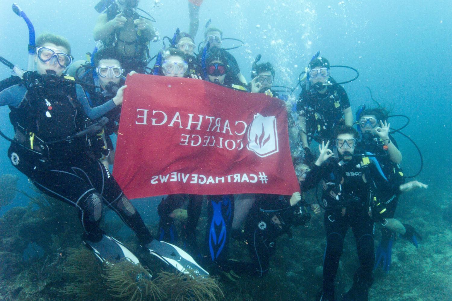 学生们手持<a href='http://orci.ngskmc-eis.net'>博彩网址大全</a>旗帜，在j学期洪都拉斯游学之旅中潜水.